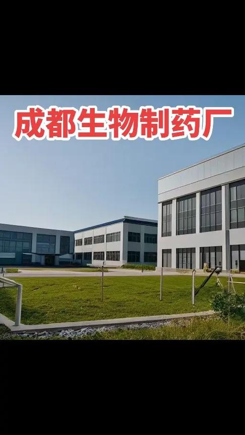 企业管理咨询 企业成长的战略伙伴